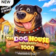 Аппарат The Dog House 1000 от Pragmatic Play
